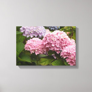Eleganta Hydrangeor Canvastryck
