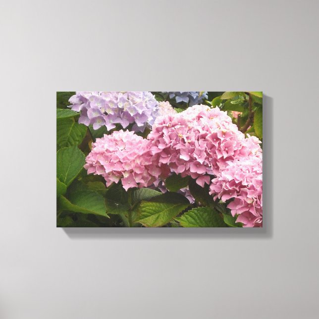 Eleganta Hydrangeor Canvastryck (Framsida)