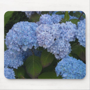Eleganta Hydrangeor Musmatta