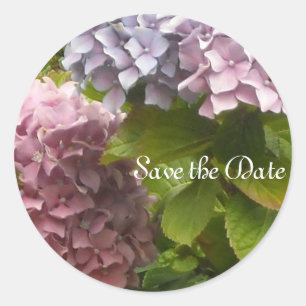 Eleganta Hydrangeor Runt Klistermärke