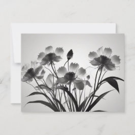 Eleganta Kosmos Blommor i Blomning Vykort