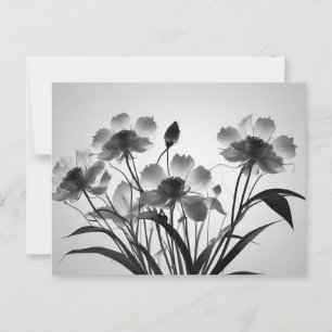 Eleganta Kosmos Blommor i Blomning Vykort