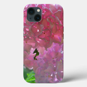 Eleganta mjuka rosa blommor rosa hydrangeor rosor