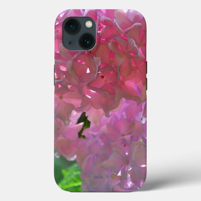 Eleganta mjuka rosa blommor rosa hydrangeor rosor (Baksida)