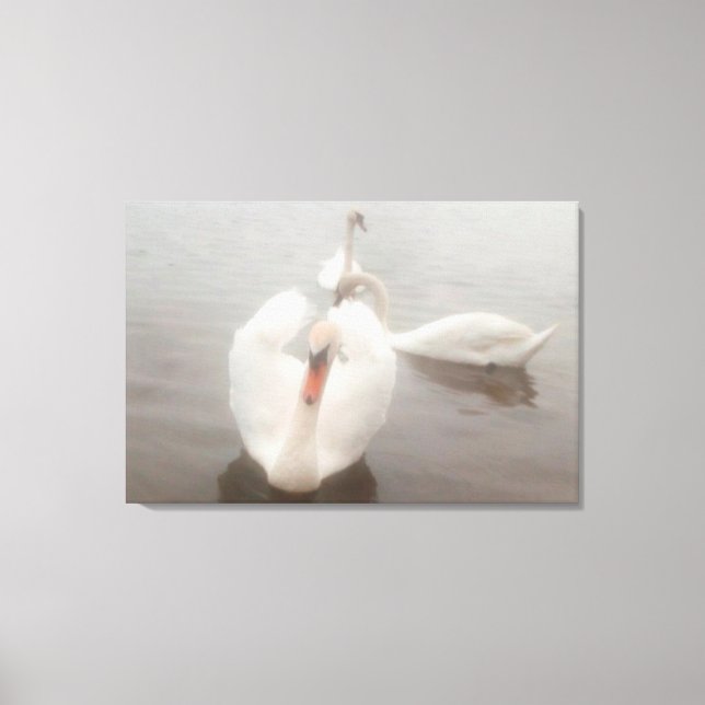 Eleganta moderna akvareller Konst Svanar på Donau Canvastryck (Framsida)