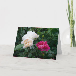 Eleganta moderna krämfärgade rosa rosor Blommor Go Kort