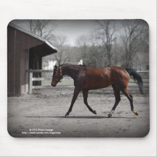 Eleganta Mousepad Musmatta