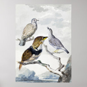 Eleganta neutrala tonfåglar på grenkonst poster