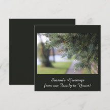 Eleganta Personliga Ständgröna Grenar Mörkgröna