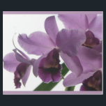 Eleganta purpurfärgade Cattleya Orchids Presentpapper<br><div class="desc">Pappa orchids i blom igen. Purpurfärgad Cattleya Orchidsgåva som slår in papper. Det härligt bildar,  och komplexitet av blomman och deras förföriska dofter har segrat hjärtorna av många. Original- fotografi vid riverme*©2009.</div>