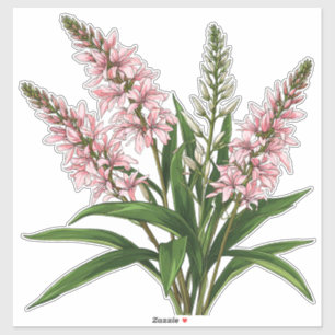 Eleganta rosa blommor med gröna blad klistermärken