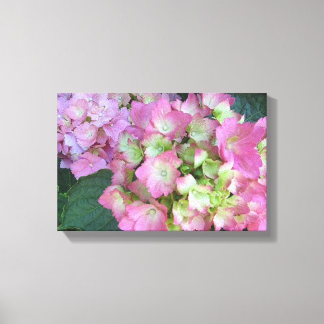 Eleganta rosa hydrangeor canvastryck (Framsida)