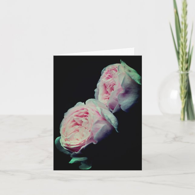 Eleganta rosa rosor blommfotografering anteckning kort (Framsida)