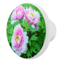 Eleganta rosa trädpionblommor med gul centrum