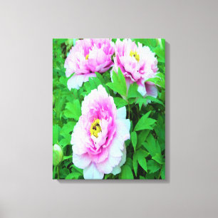 Eleganta rosa trädtolpeoner blommor med gul center canvastryck