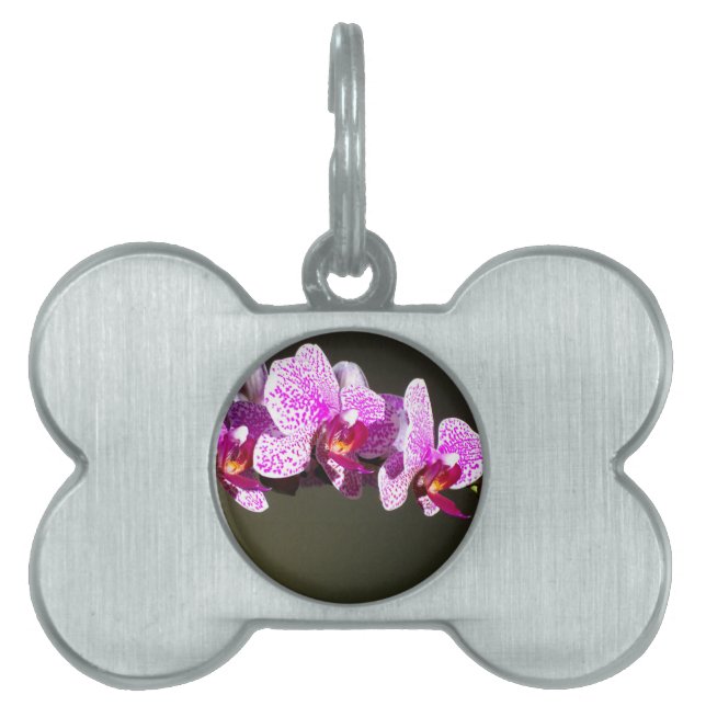 Eleganta rosa tropiska blommande blommor orkidéer  ID-bricka husdjur (Framsidan)