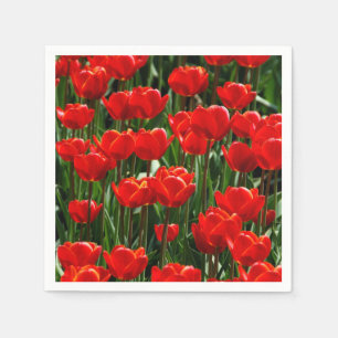 Eleganta Tulpan- och Rosblommor Fotografi Pappersservett