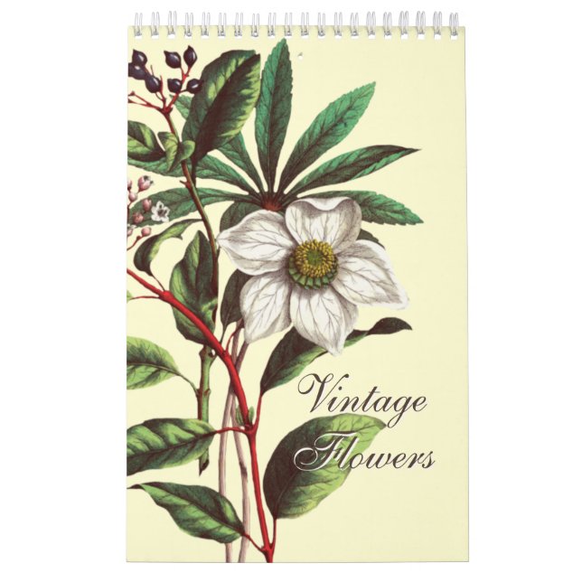Eleganta vintageillustrationer av botaniska blommo kalender (Omslag)