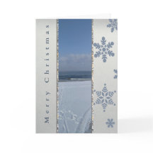 Eleganta vintersnöflingor