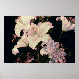 Eleganta vita liljor på svart bakgrund blommig poster