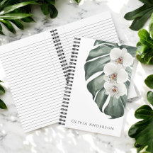 Eleganta Vita Orkidéer Tropiskt Blommorsta vattenf