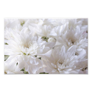 Eleganta vitblommor fototryck