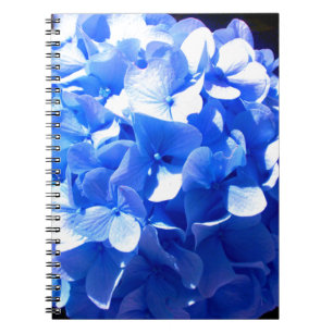 ElegantCobalt Blue blommigt elegant hydrangeas Anteckningsbok