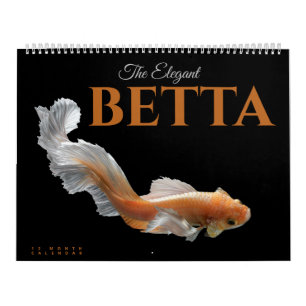 Eleganten Betta Kalender
