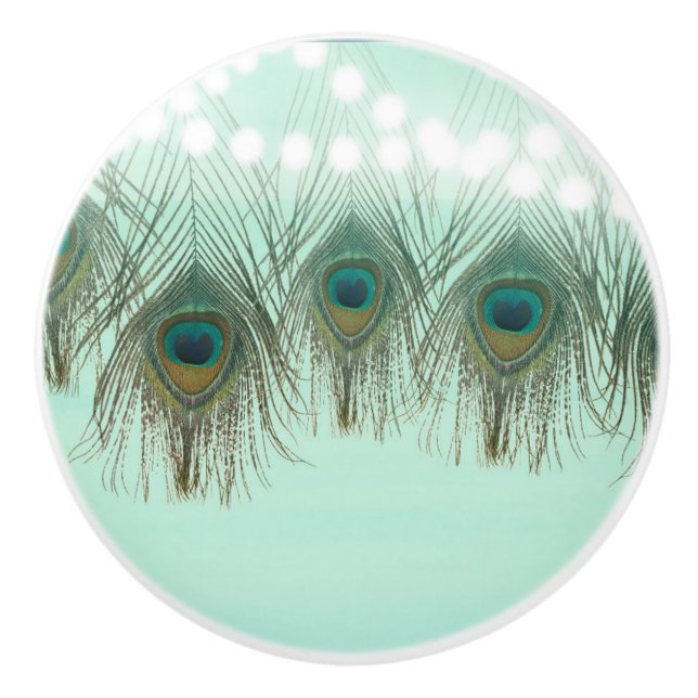 Eleganten för Chic av  Rustic Ljus Feathers Knopp (Framsidan)