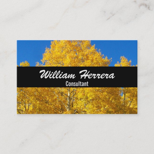 Eleganten Fotomall fet layout 100 Boxed Visitkort (Framsida)