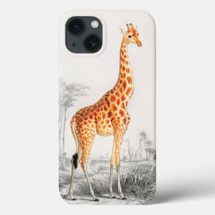 Eleganten Giraffe 