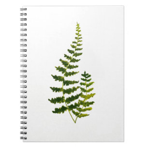 Eleganten Watercolor Fern Botanical Grey Rustic Anteckningsbok