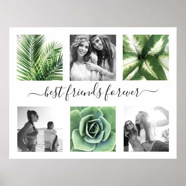 Elegantens bästa vänner för alltid 6 fotosamlingar poster (Framsidan)
