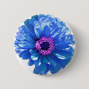 Elegantens blå blommigt blå daisy knapp