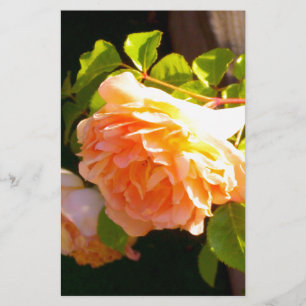 Elegantens blommigt för klassisk orange i persiko- brevpapper
