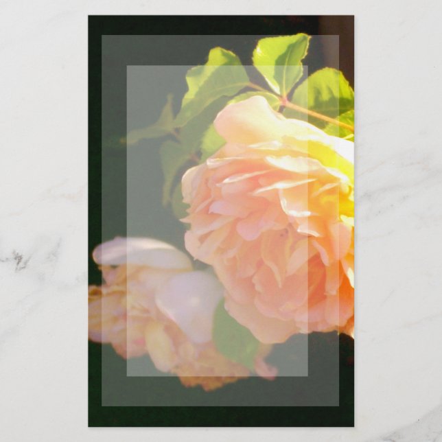 Elegantens blommigt för klassisk orange i persiko- brevpapper (Framsida)