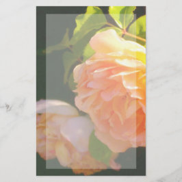 Elegantens blommigt för klassisk orange i persiko- brevpapper