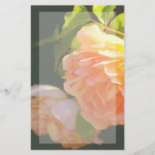 Elegantens blommigt för klassisk orange i persiko- brevpapper