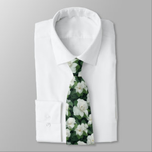 Elegantens botaniska vita blommigt av klassisk grö slips