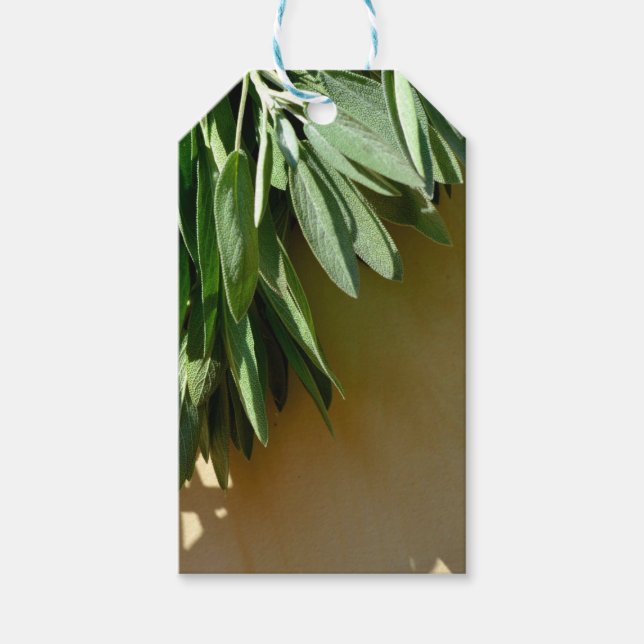 Elegantens grönt botaniska löv Färskklippta örter Presentetikett (Framsidan)