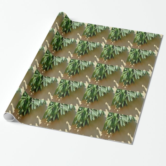 Elegantens grönt botaniska löv Färskklippta örter Presentpapper (Utrullad)