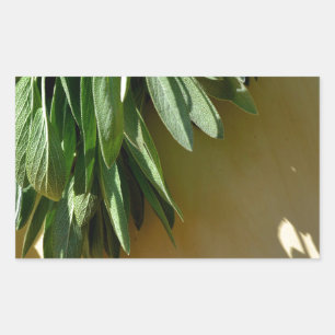 Elegantens grönt botaniska löv Färskklippta örter Rektangulärt Klistermärke