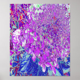 Elegantens Lila och Blue Limelight Hydrangea Poster