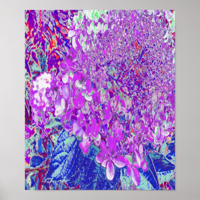 Elegantens Lila och Blue Limelight Hydrangea Poster (Framsidan)