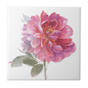 Elegantens Rosa Botaniskt vattenfärg Kakelplatta