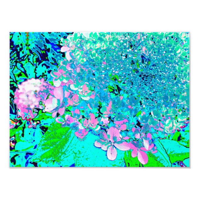 Elegantens Rosa och Blue Limelight Hydrangea Fototryck (Framsidan)