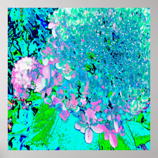 Elegantens Rosa och Blue Limelight Hydrangea Poster