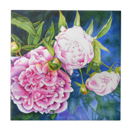 Elegantens rosa, vit klassisk blommigt med vattenf kakelplatta