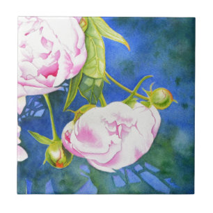 Elegantens rosa, vit klassisk blommigt med vattenf kakelplatta
