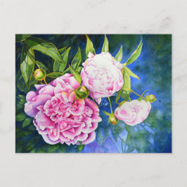 Elegantens rosa, vit klassisk blommigt med vattenf vykort